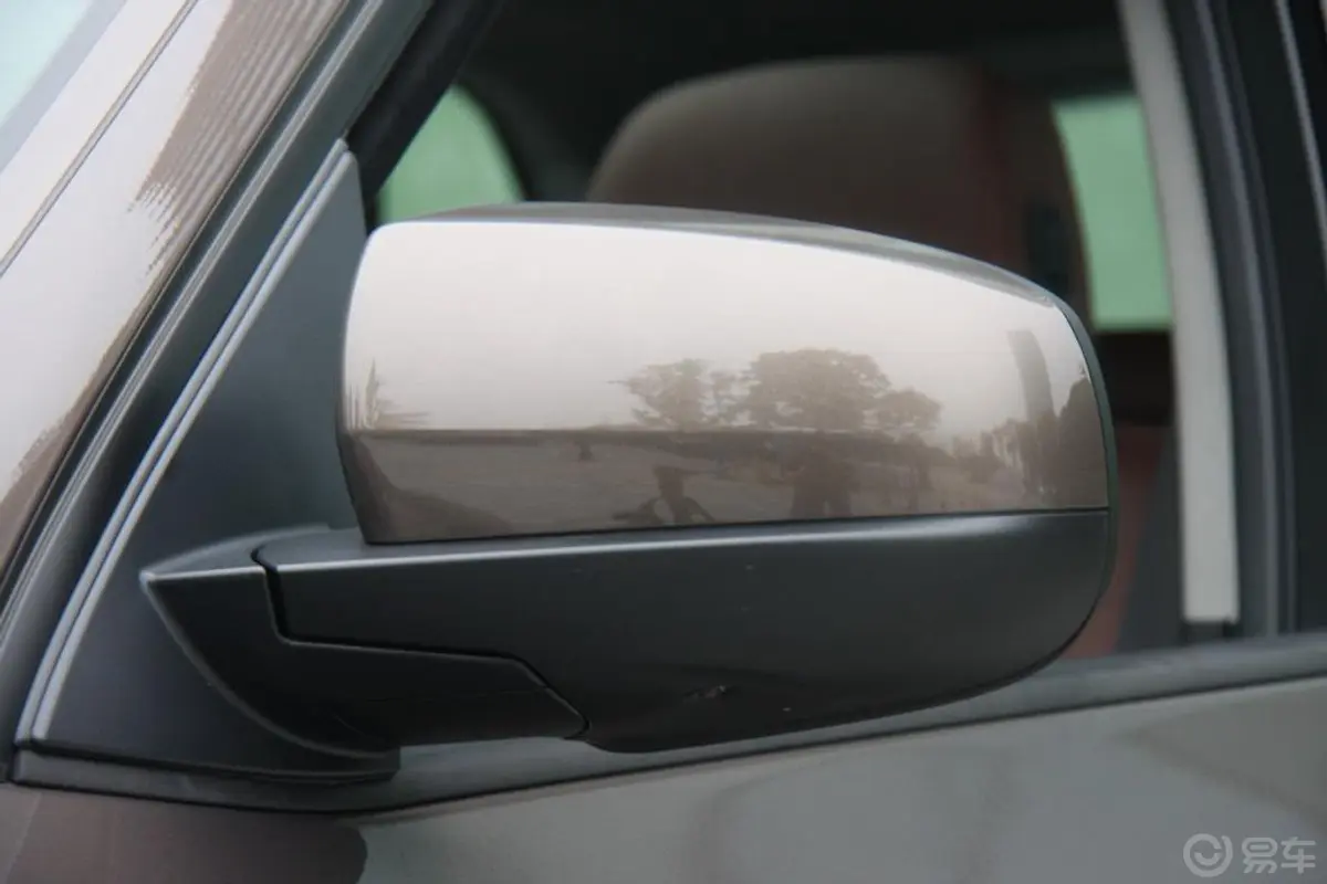 宝马X5(进口)xDrive35i 尊贵型后视镜转向灯（前）
