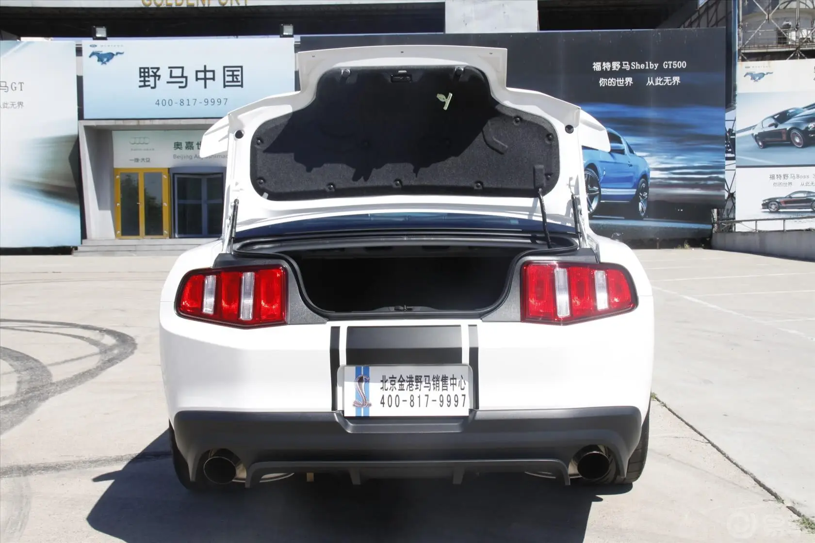 MustangShelby V8 5.4L 手动 豪华版 SVT改装行李厢支撑杆