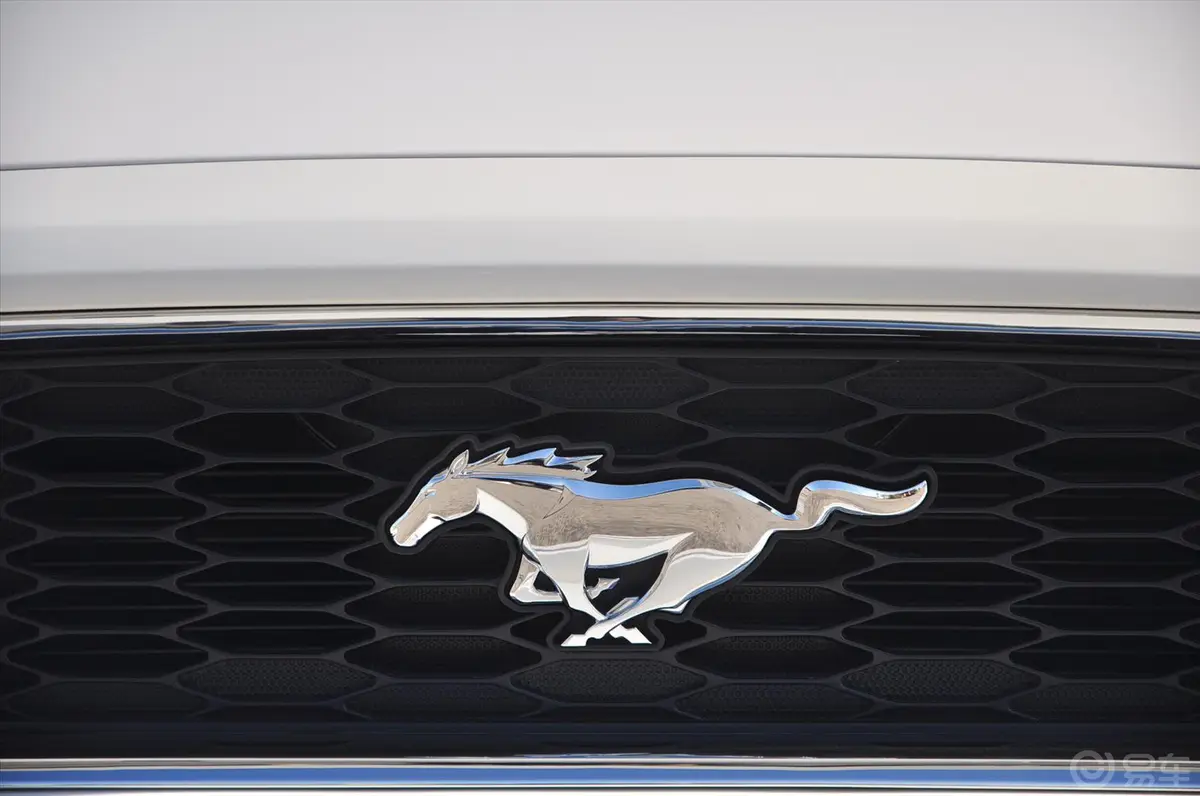 MustangV6 3.7L 自动  豪华版 标配外观