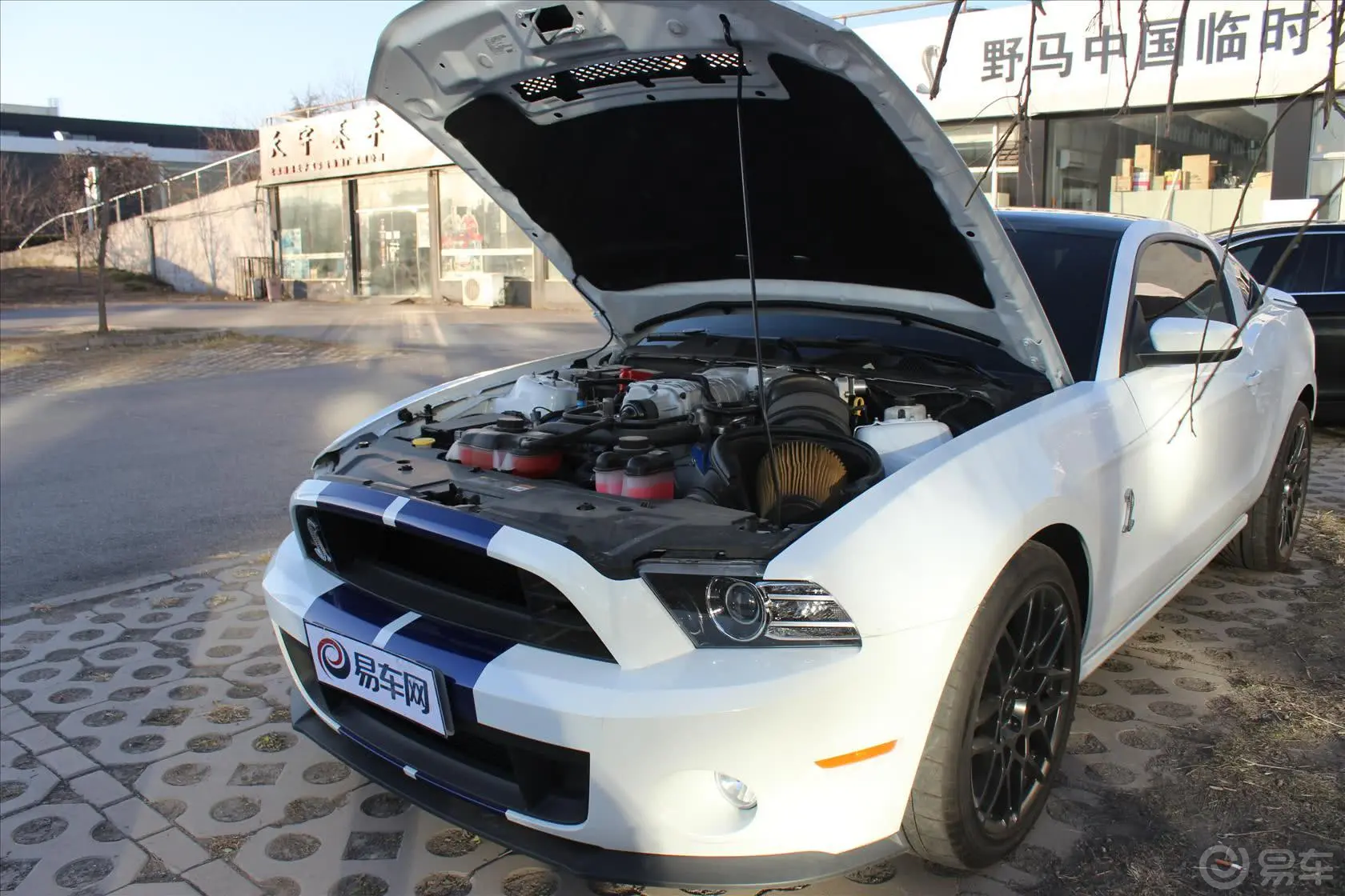 Mustang5.8T 手动 GT500发动机盖开启