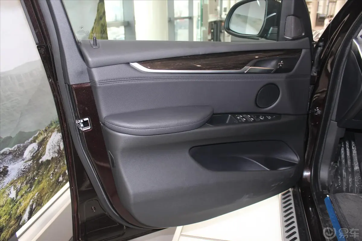 宝马X5(进口)xDrive35i 豪华型驾驶员侧车门内门板