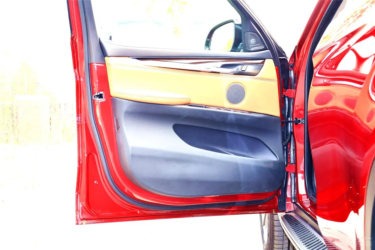 宝马X6xDrive35i 尊享型驾驶员侧车门内门板