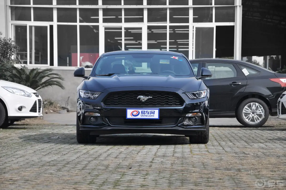 Mustang2.3L 手自一体 50周年纪念版正前水平