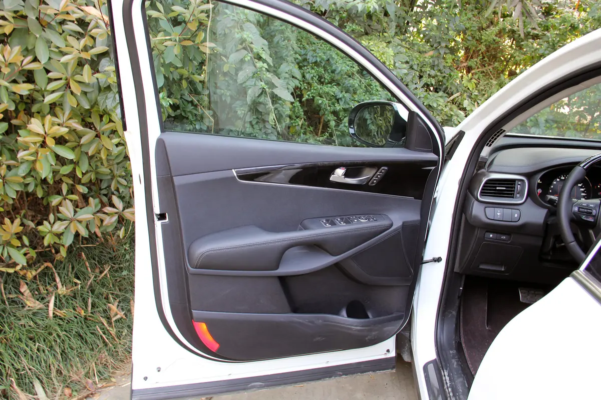 索兰托索兰托L 2.0T GDI  汽油 4WD 尊贵版 七座 国IV驾驶员侧车门内门板