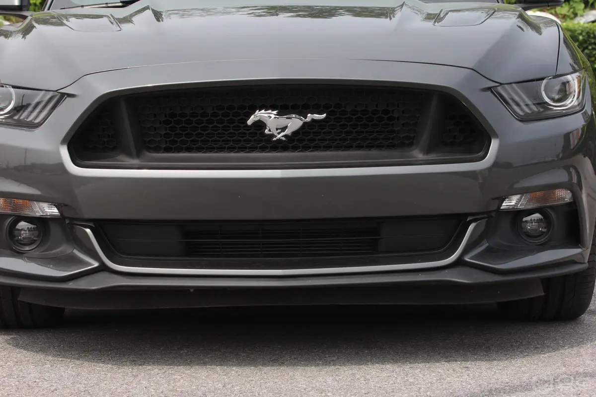 Mustang5.0L GT 手自一体 性能版前格栅侧俯拍