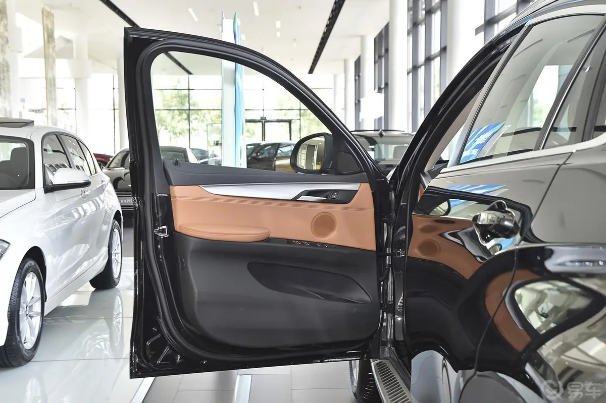 宝马X6xDrive35i 豪华型驾驶员侧车门内门板