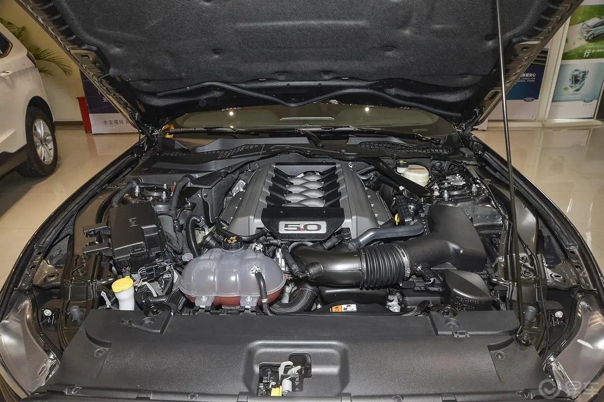 Mustang5.0L GT 手自一体 运动版发动机
