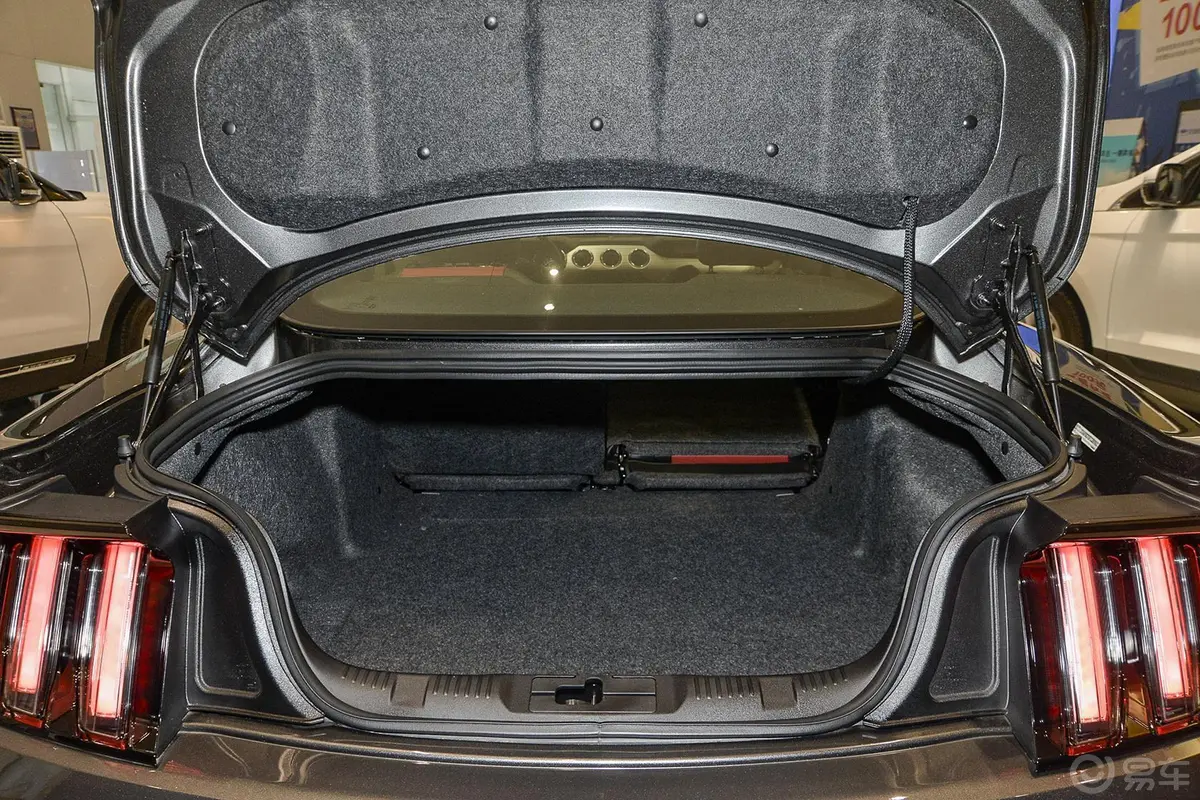 Mustang5.0L GT 手自一体 运动版行李箱空间