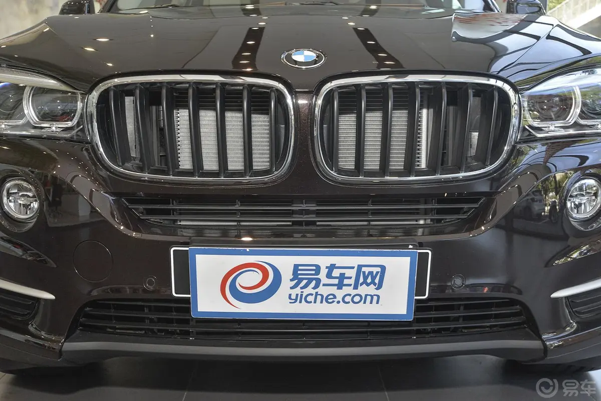 宝马X5(进口)xDrive35i 豪华型正前水平