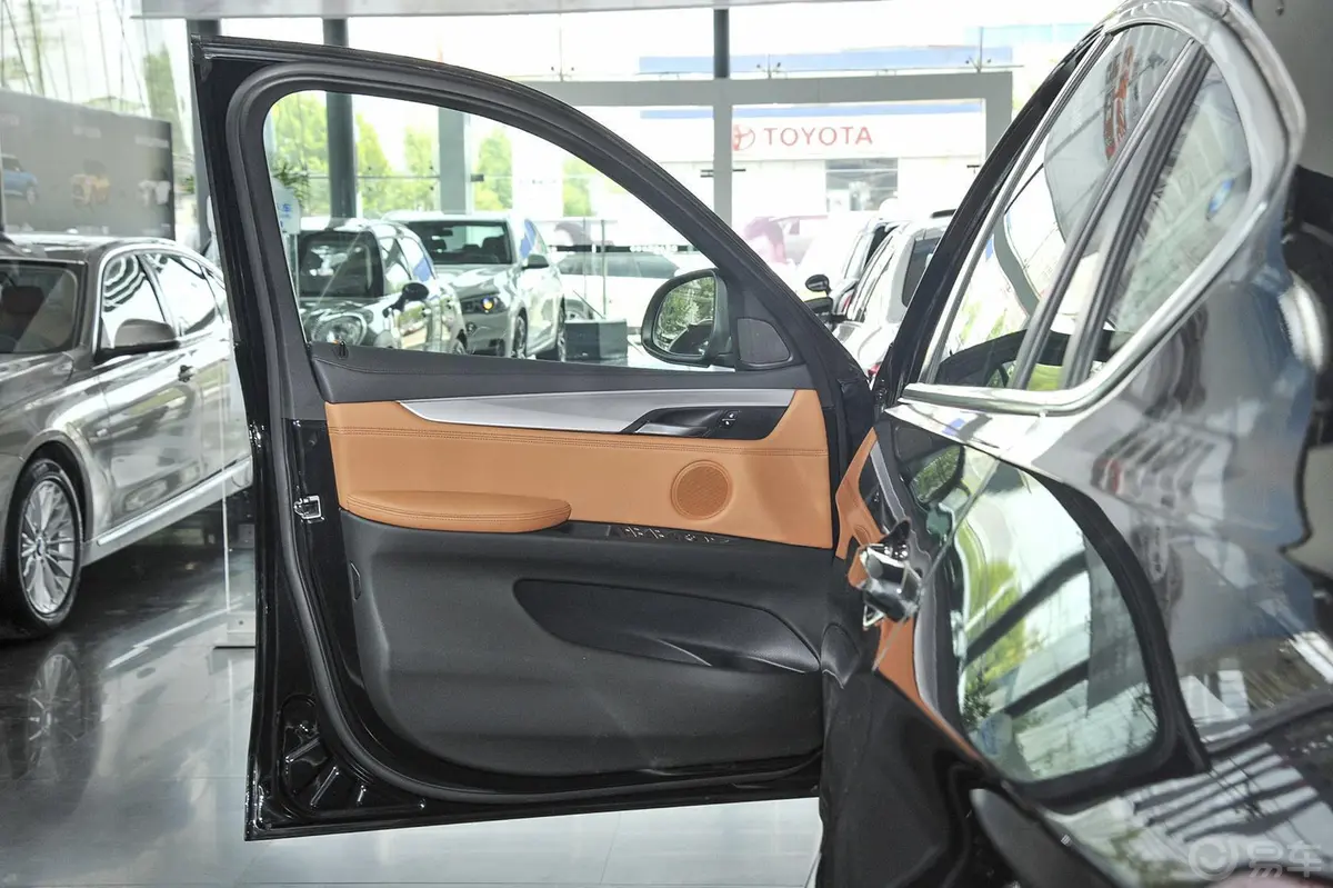 宝马X6xDrive35i 领先型驾驶员侧车门内门板