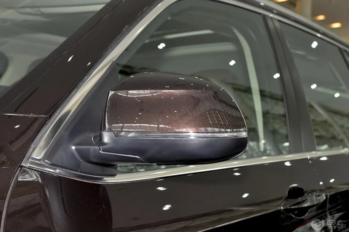 宝马X5(进口)xDrive35i 领先型后视镜转向灯（前）