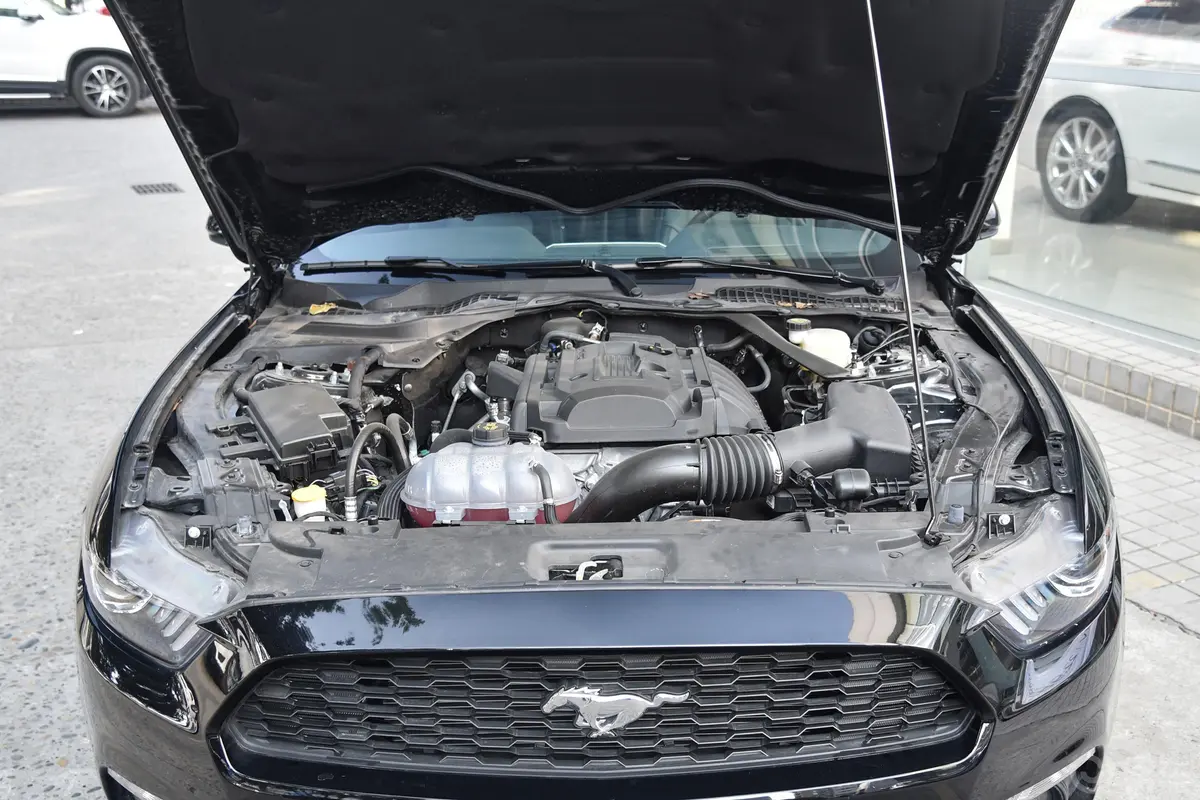 Mustang2.3L 手自一体 性能版外观