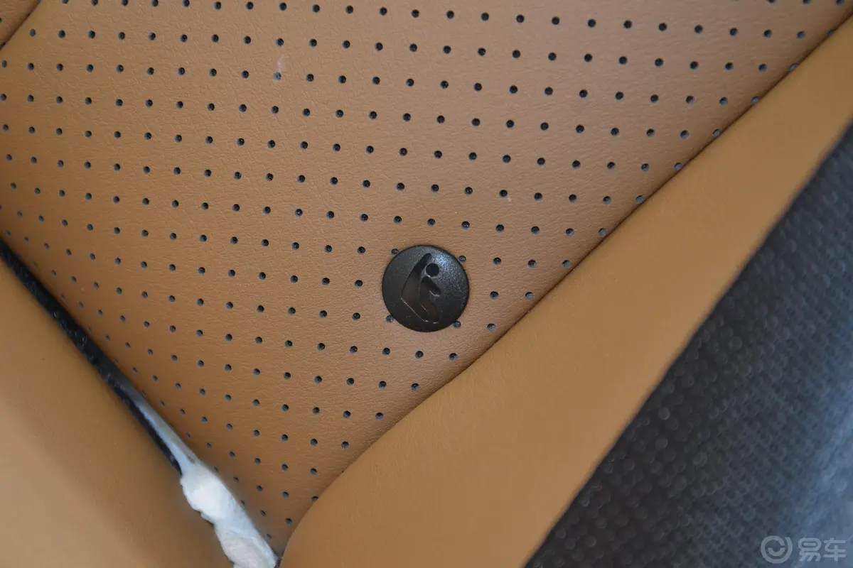 秦新能源EV450 智联锋尚版儿童座椅接口