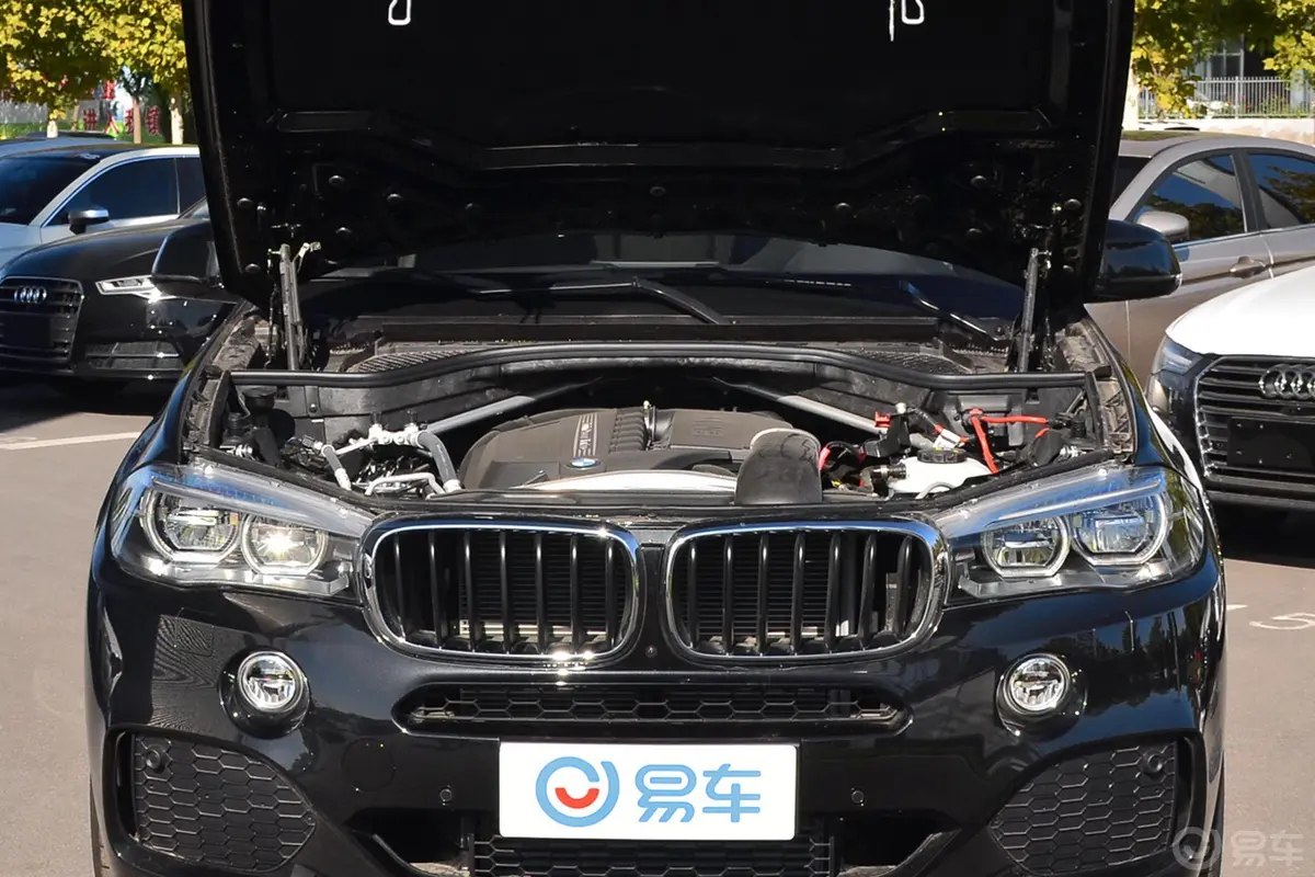 宝马X5(进口)xDrive35i M运动豪华版发动机舱整体