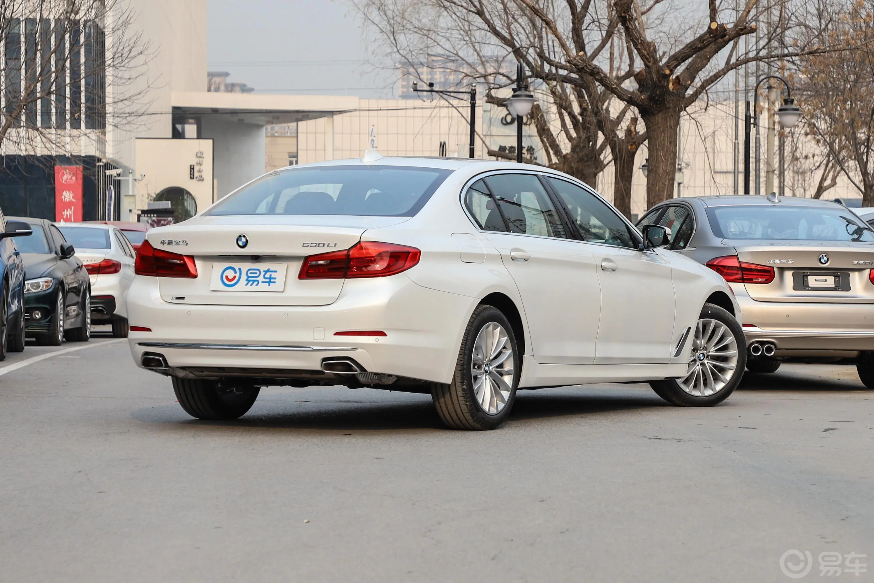 宝马5系530Li xDrive 豪华套装侧后45度车头向右水平