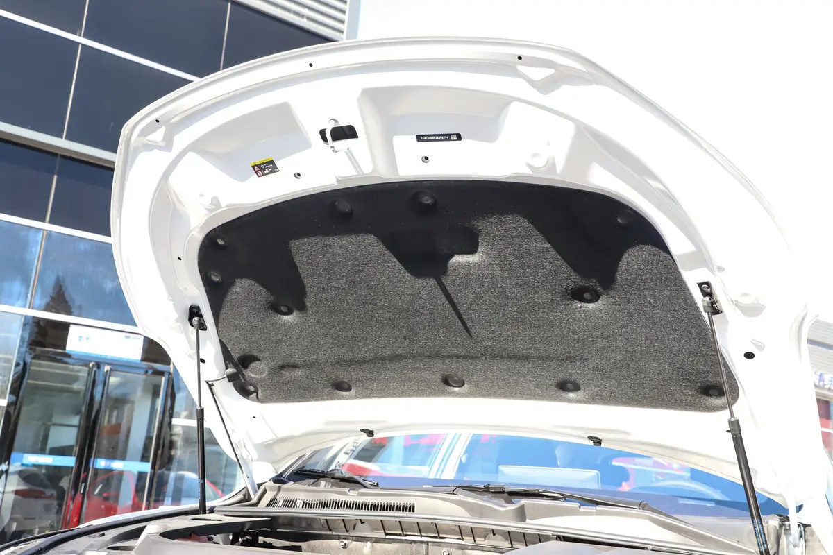 宋新能源EV500 智联领动版发动机舱盖内侧