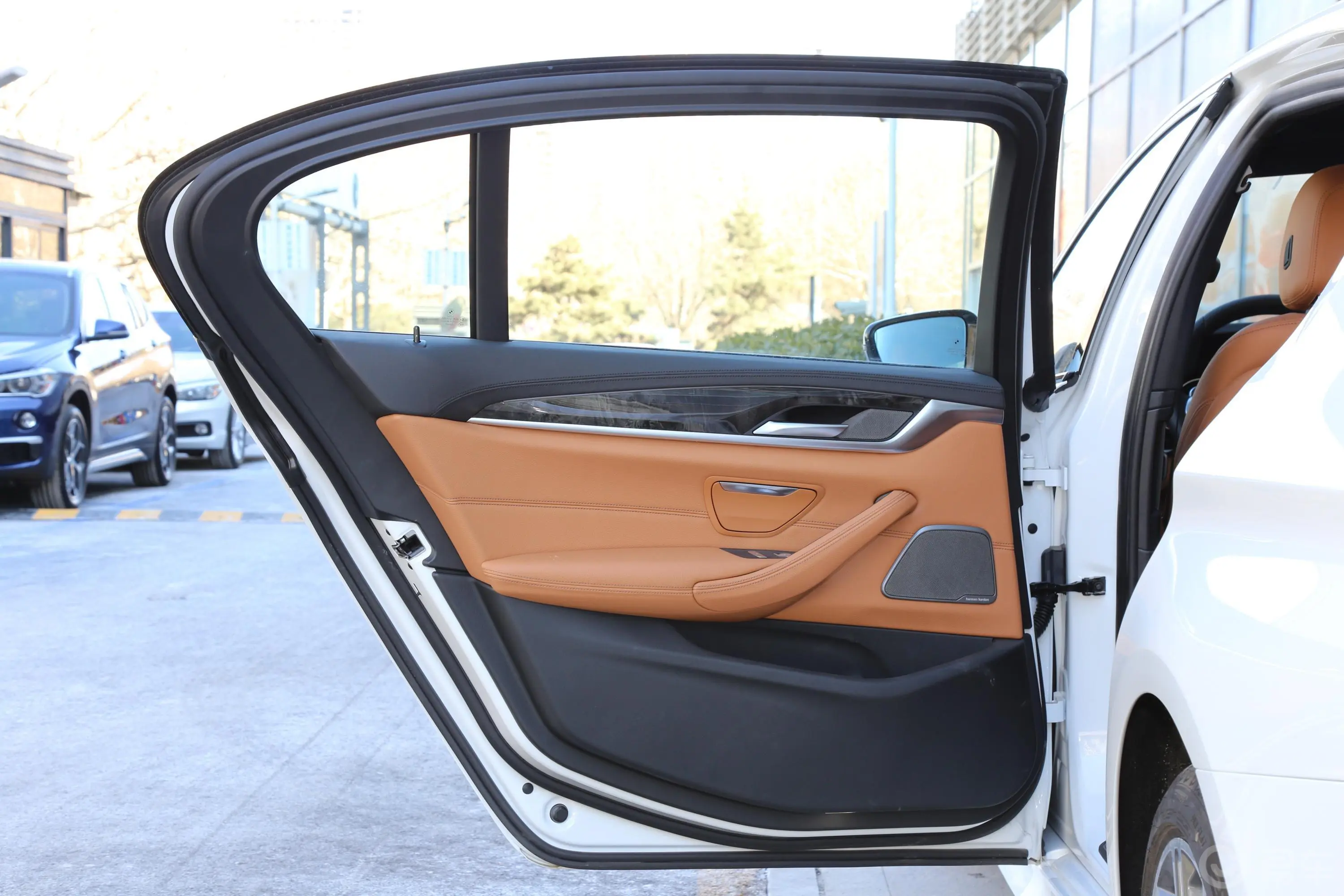 宝马5系530Li 尊享版 M运动套装驾驶员侧后车门