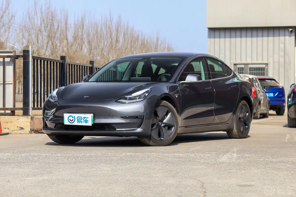 Model 3(进口)长续航全轮驱动版侧前45度车头向左水平