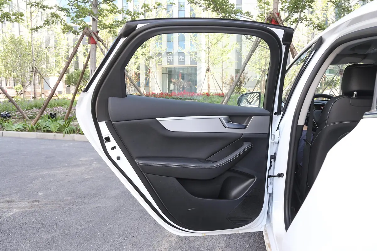 秦Pro新能源EV 超能版 标准版 智联领尚型驾驶员侧后车门