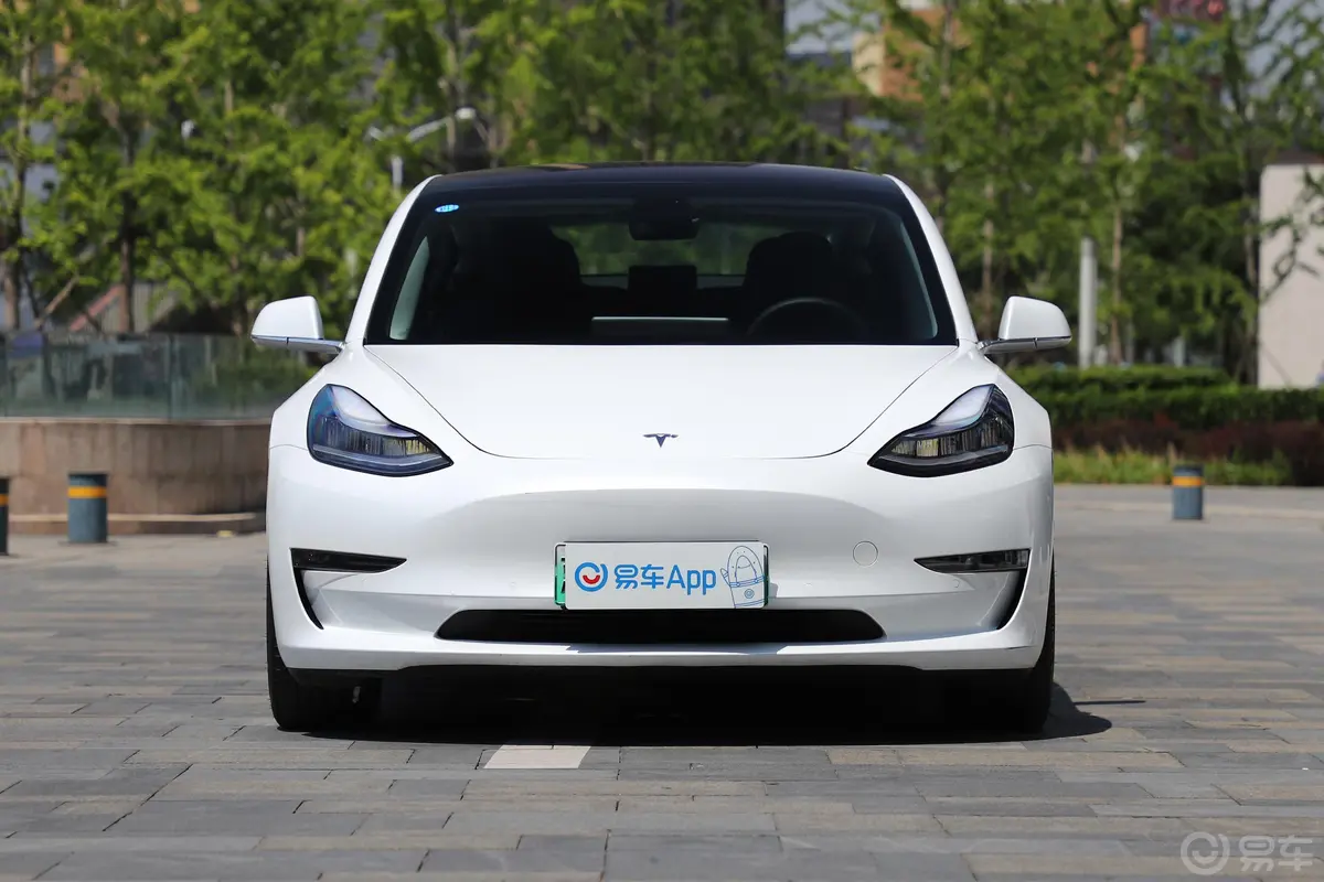 Model 3(进口)长续航全轮驱动版外观