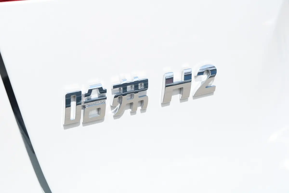 哈弗H21.5T 双离合 风尚版 国VI外观