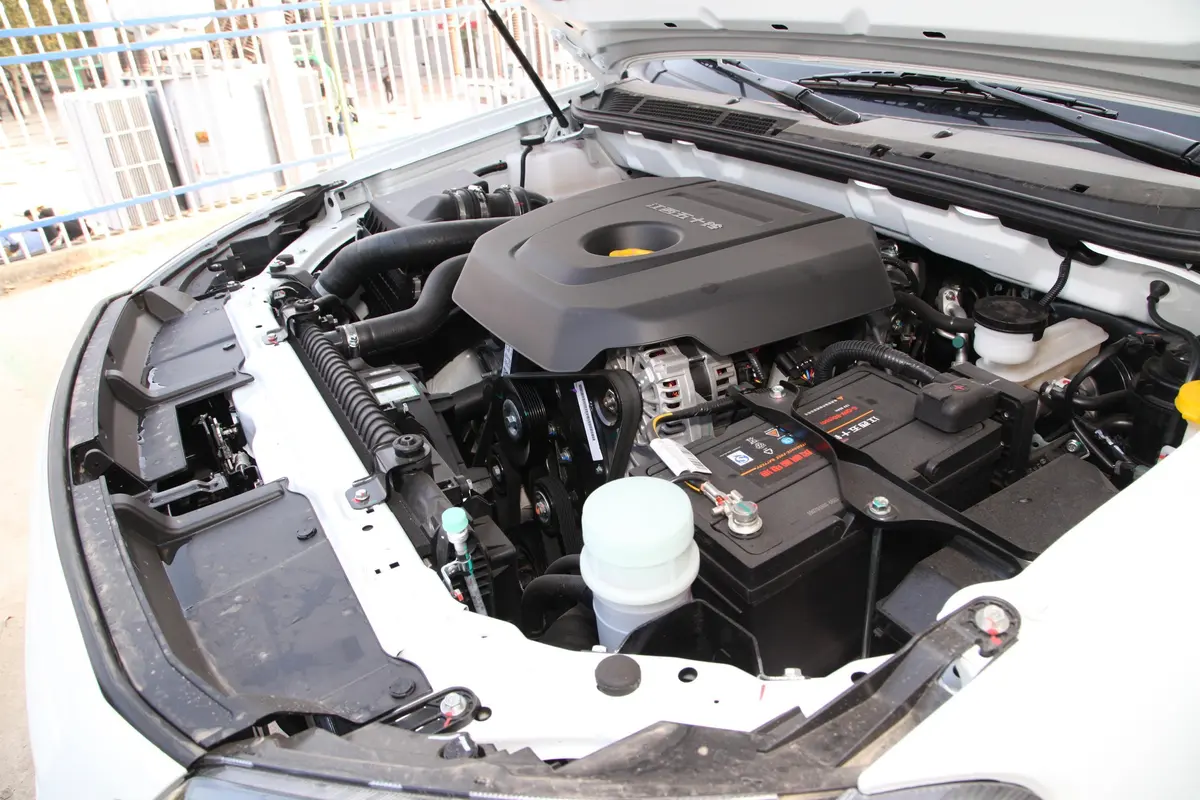 瑞迈S标轴版 2.5T 手动 两驱 领航版 柴油 国VI动力底盘