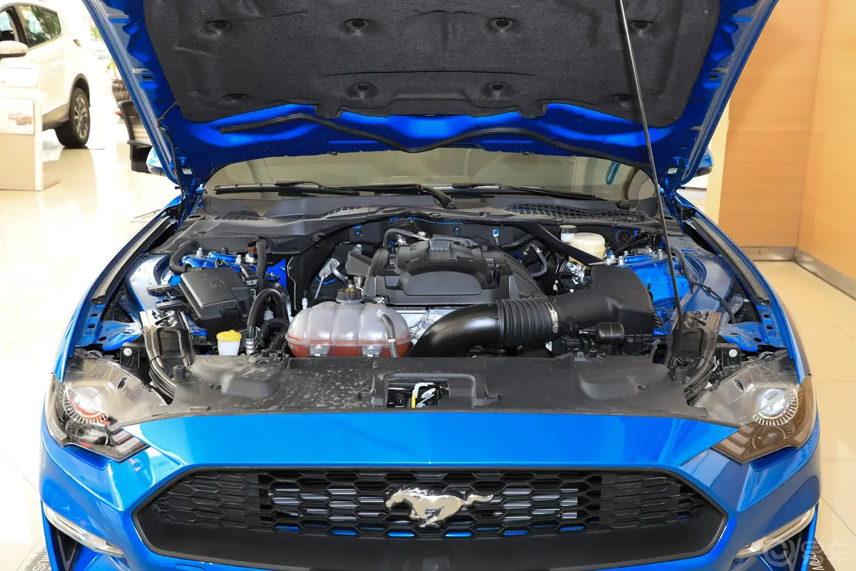 Mustang2.3L EcoBoost外观
