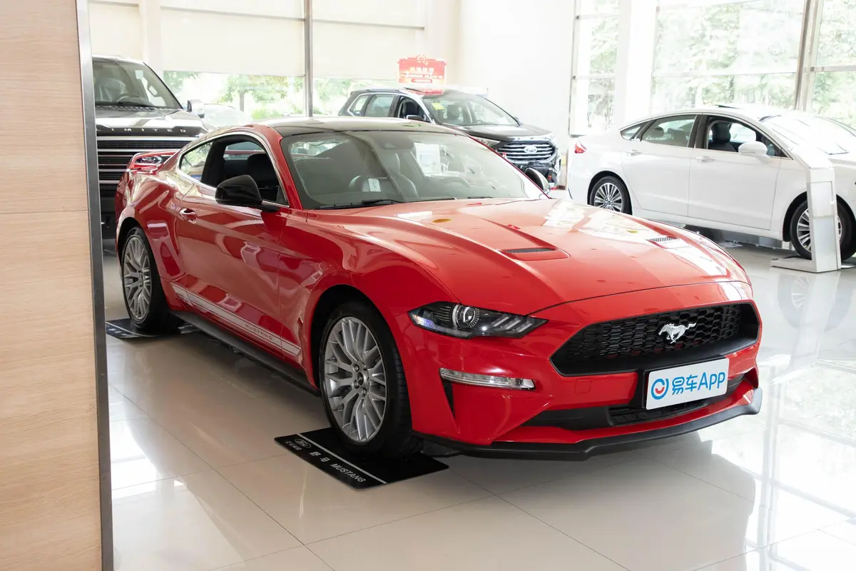 Mustang2.3L EcoBoost 暗夜骑士运动版后视镜镜面