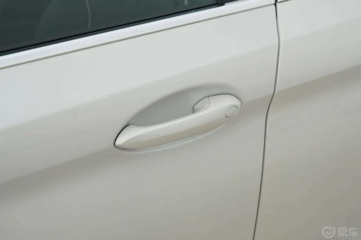 宝马5系530Li xDrive 豪华套装驾驶员侧前门把手