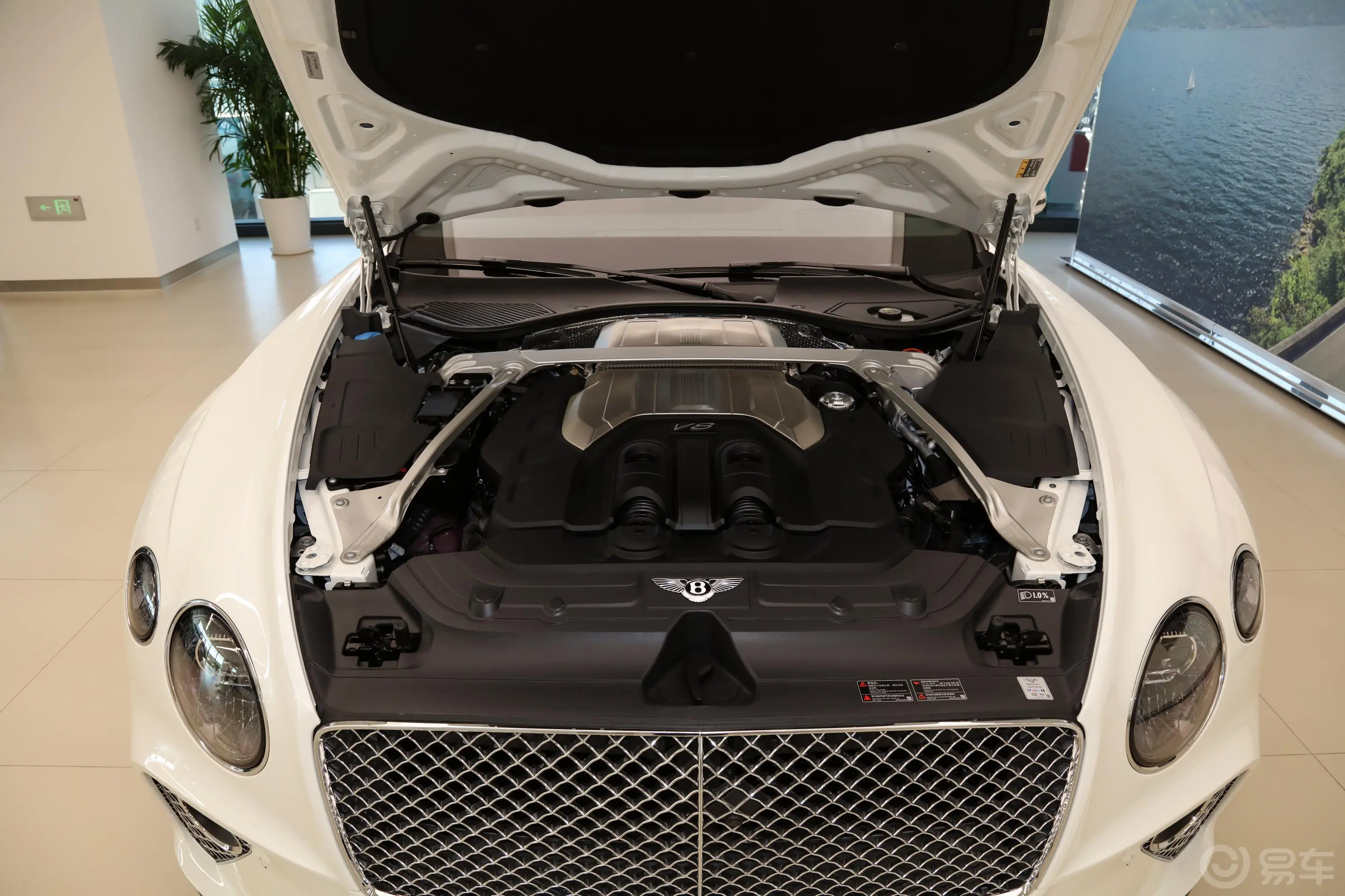 欧陆GT 4.0T V8 敞篷版发动机舱整体