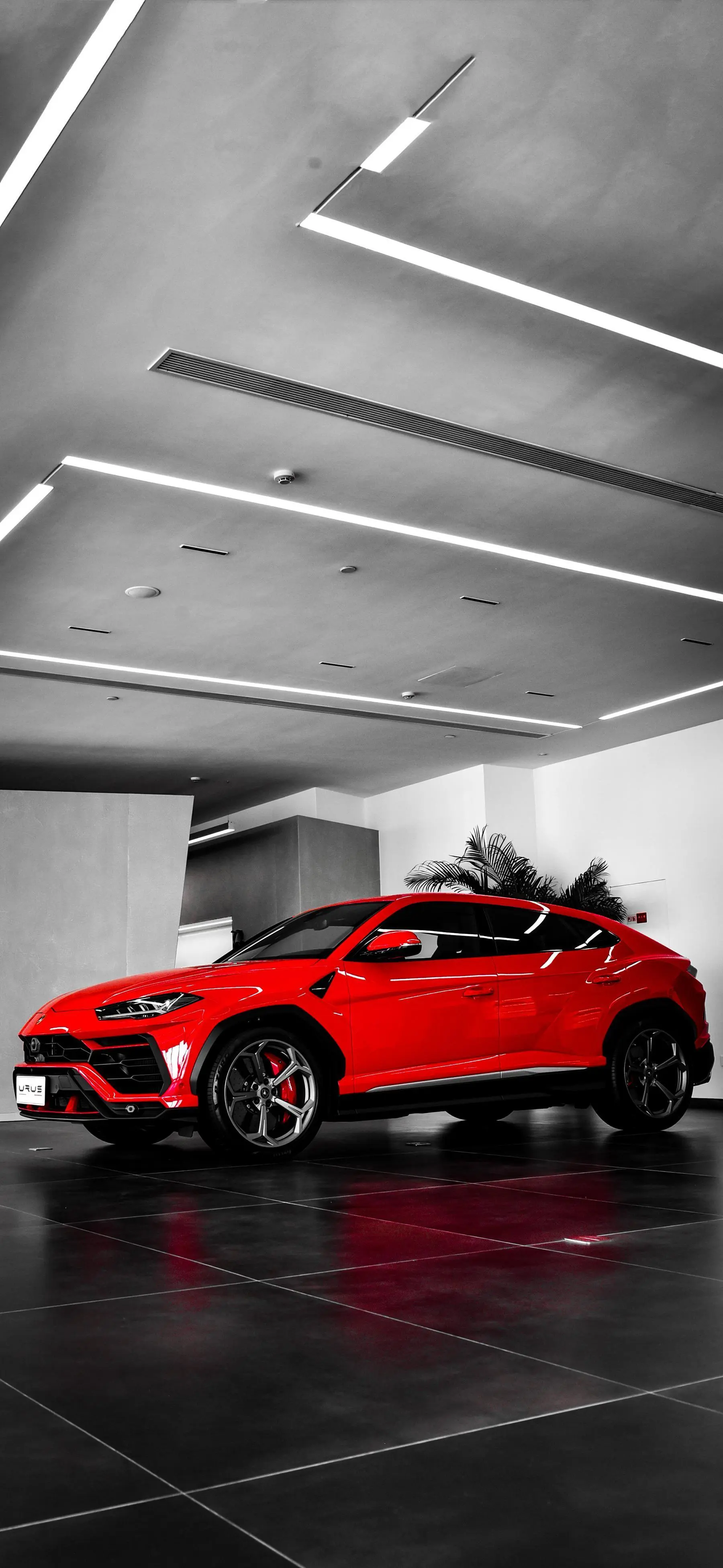 Urus