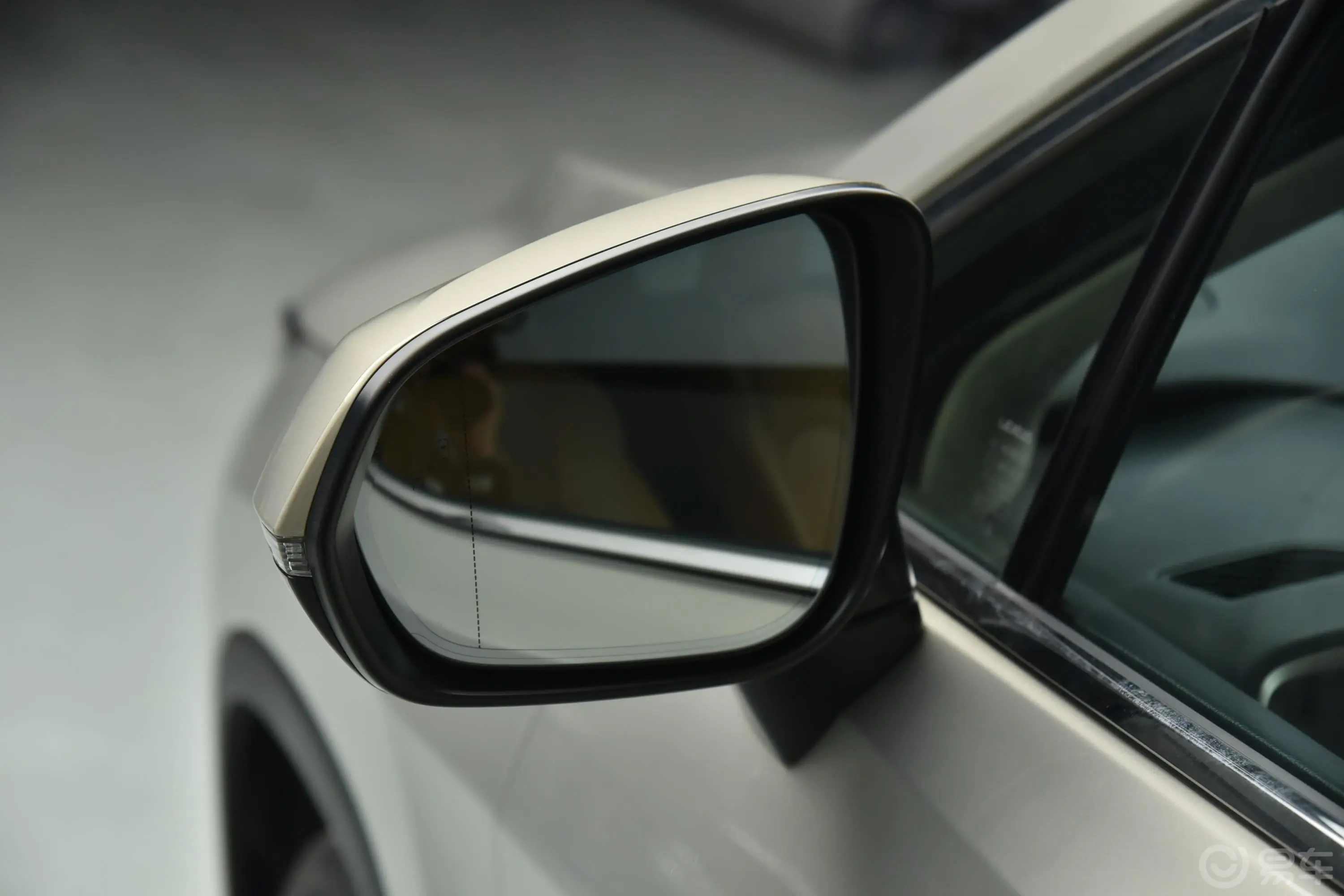 雷克萨斯RX改款 450hL 尊贵版 6座后视镜镜面