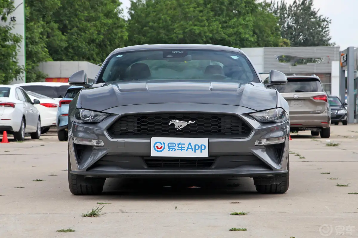 Mustang2.3T 基本版正前水平