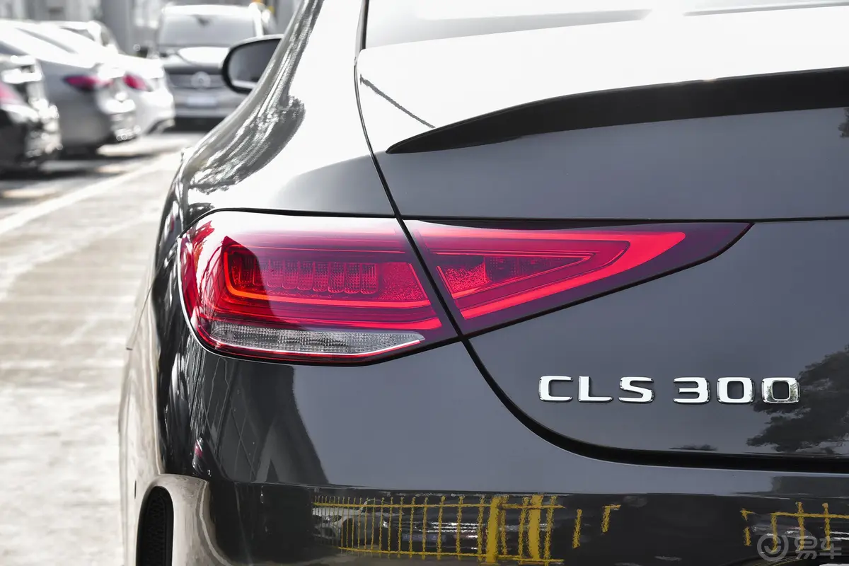 奔驰CLS级改款 CLS 300 豪华型外观