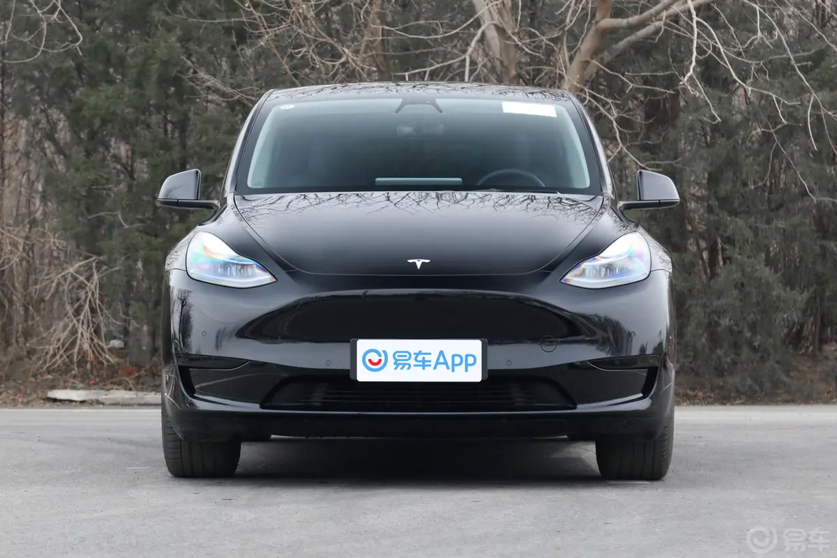 Model Y545km 后轮驱动版正前水平