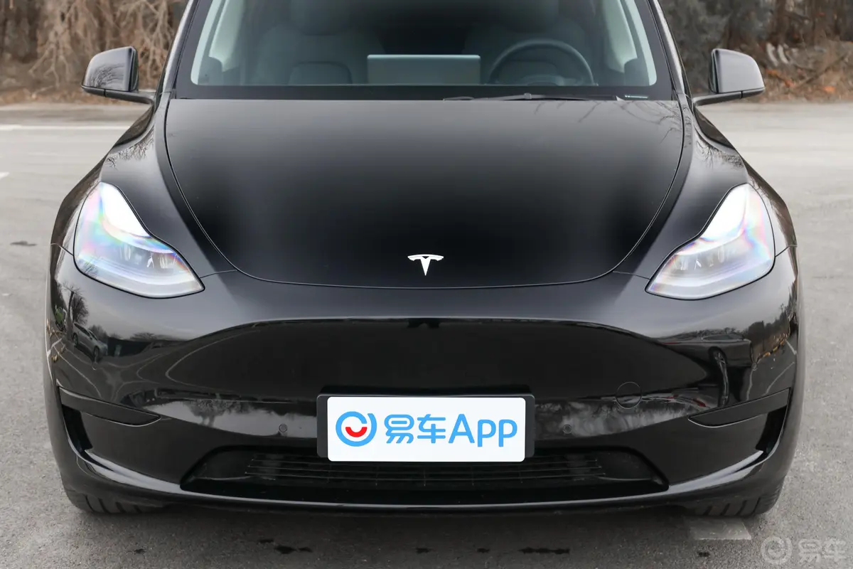 Model Y545km 后轮驱动版外观