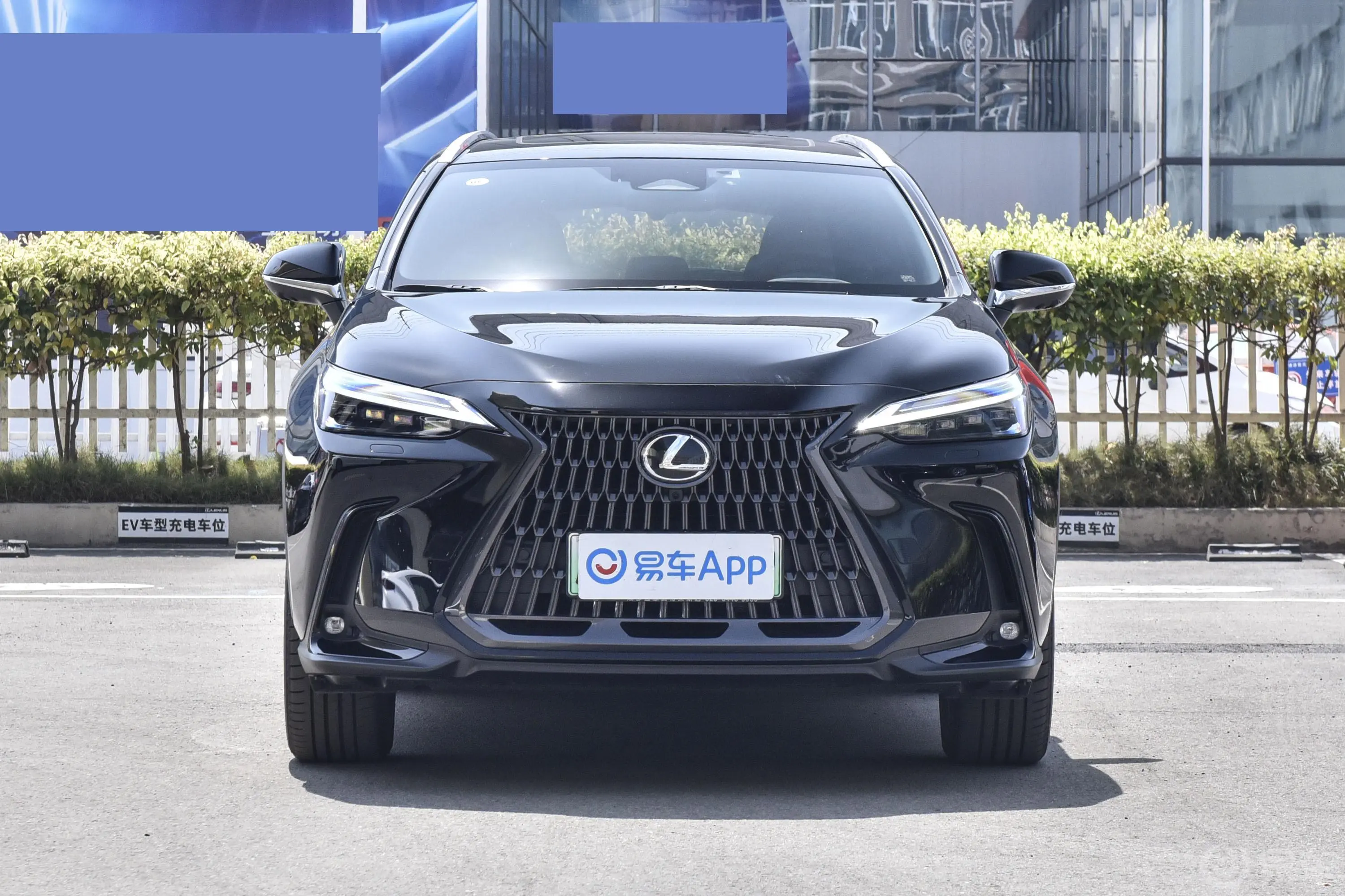 雷克萨斯NX 插电混动400h+ 畅领版正前水平