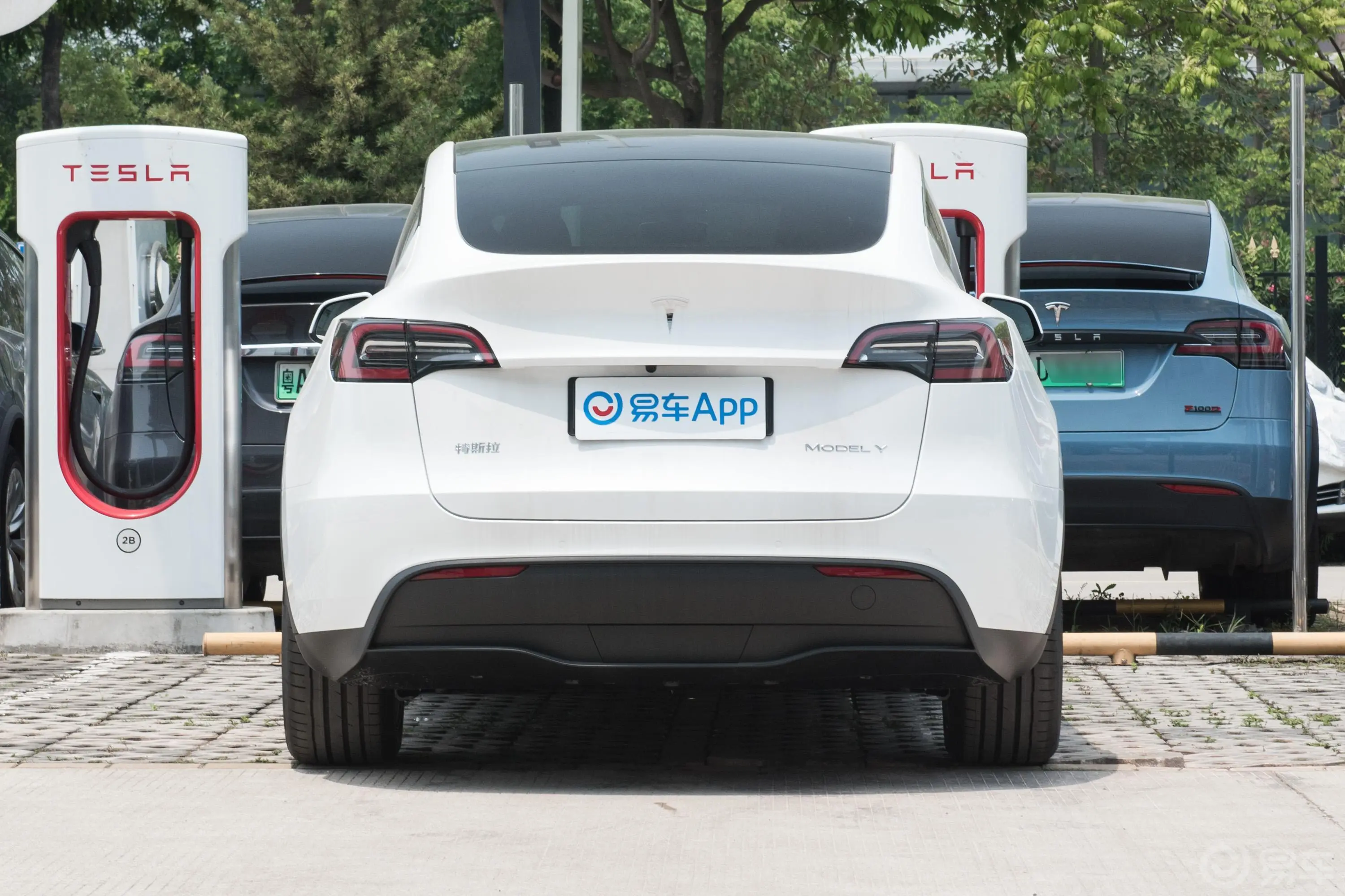 Model Y545km 后轮驱动版外观