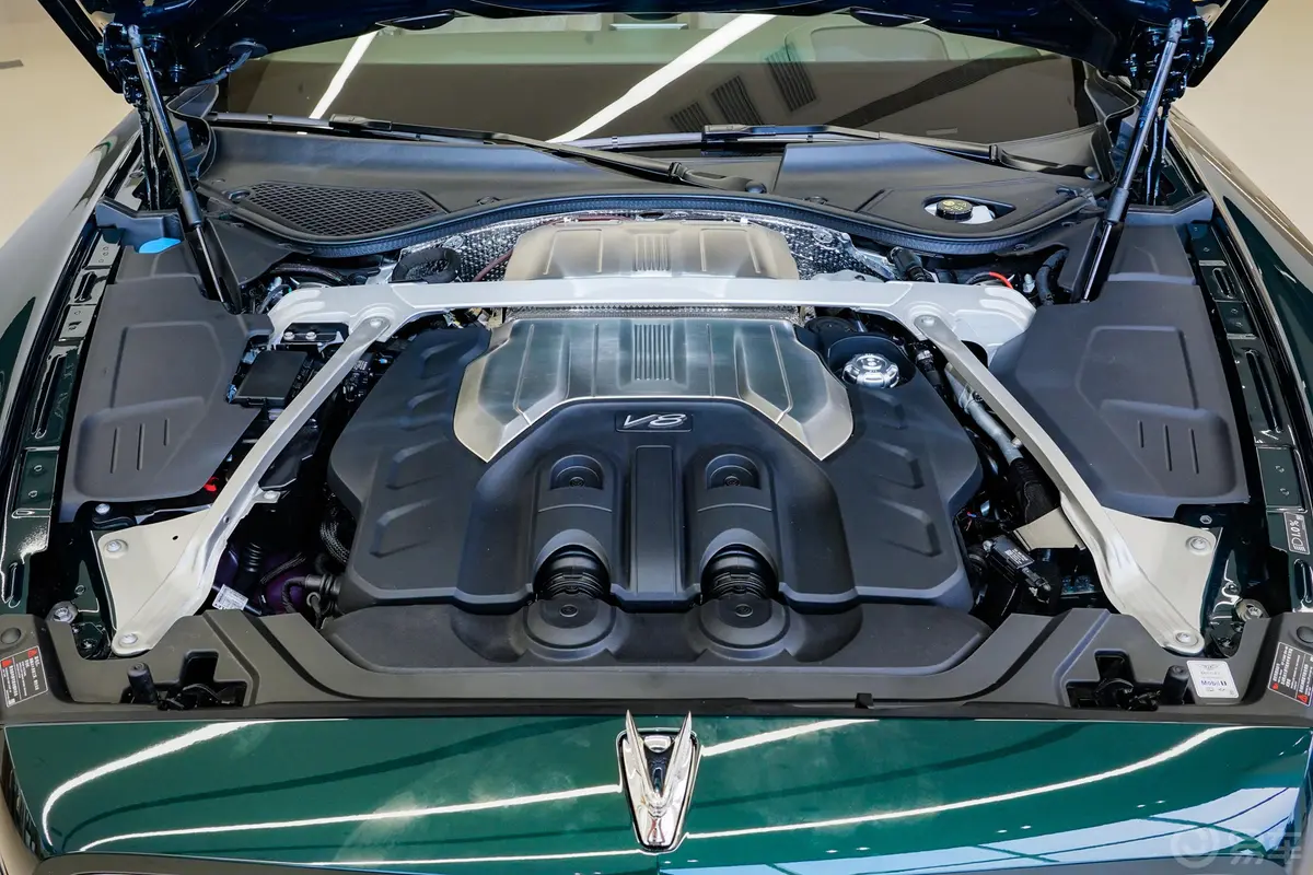 飞驰4.0T V8 标准版发动机特写