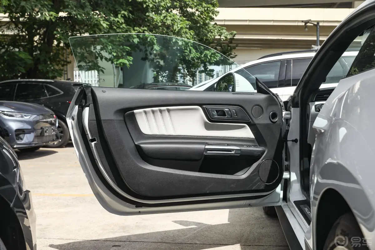 Mustang2.3T 元光极昼限量版驾驶员侧前车门