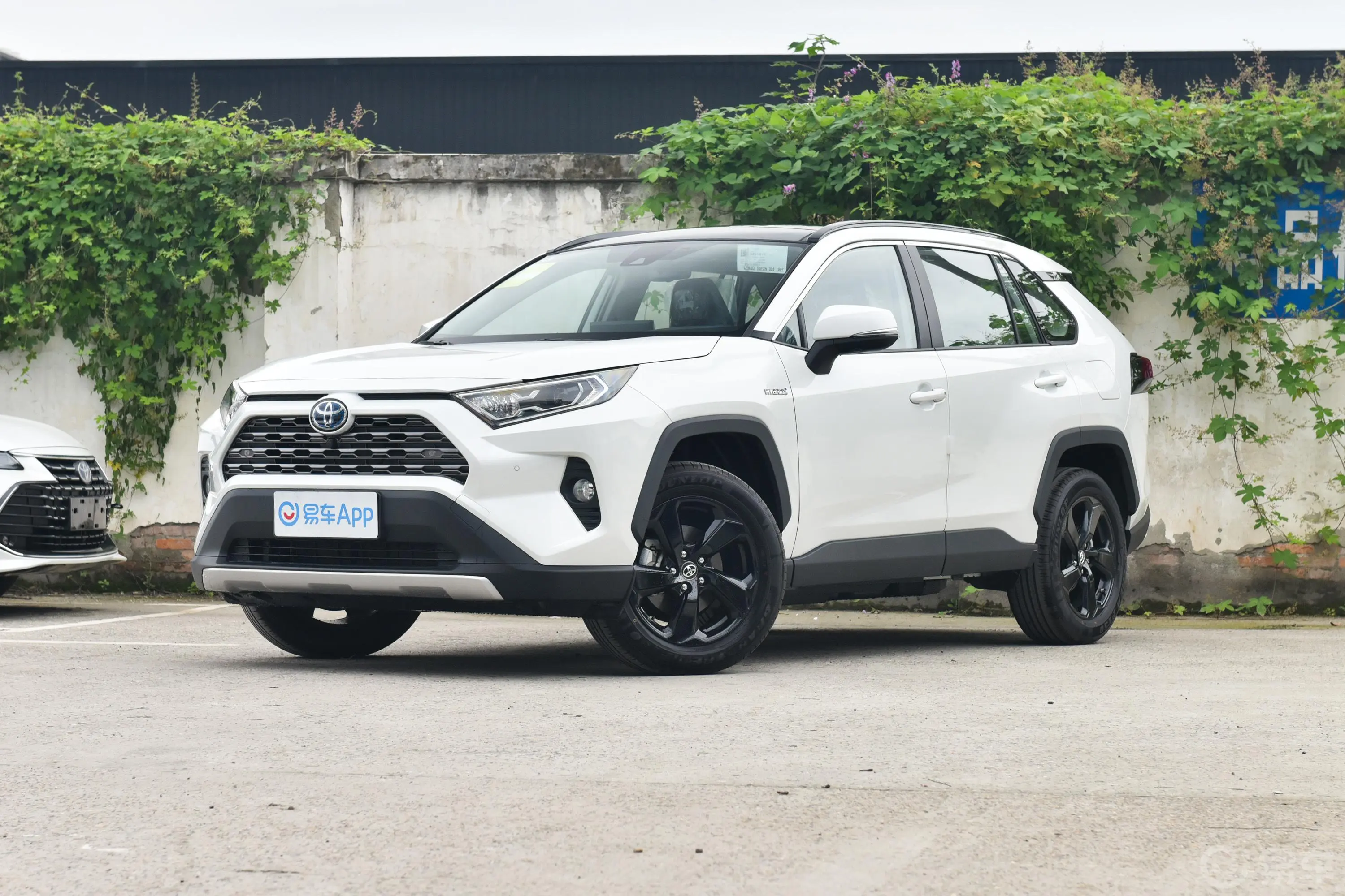 RAV4荣放双擎 2.5L 四驱旗舰版侧前45度车头向左水平