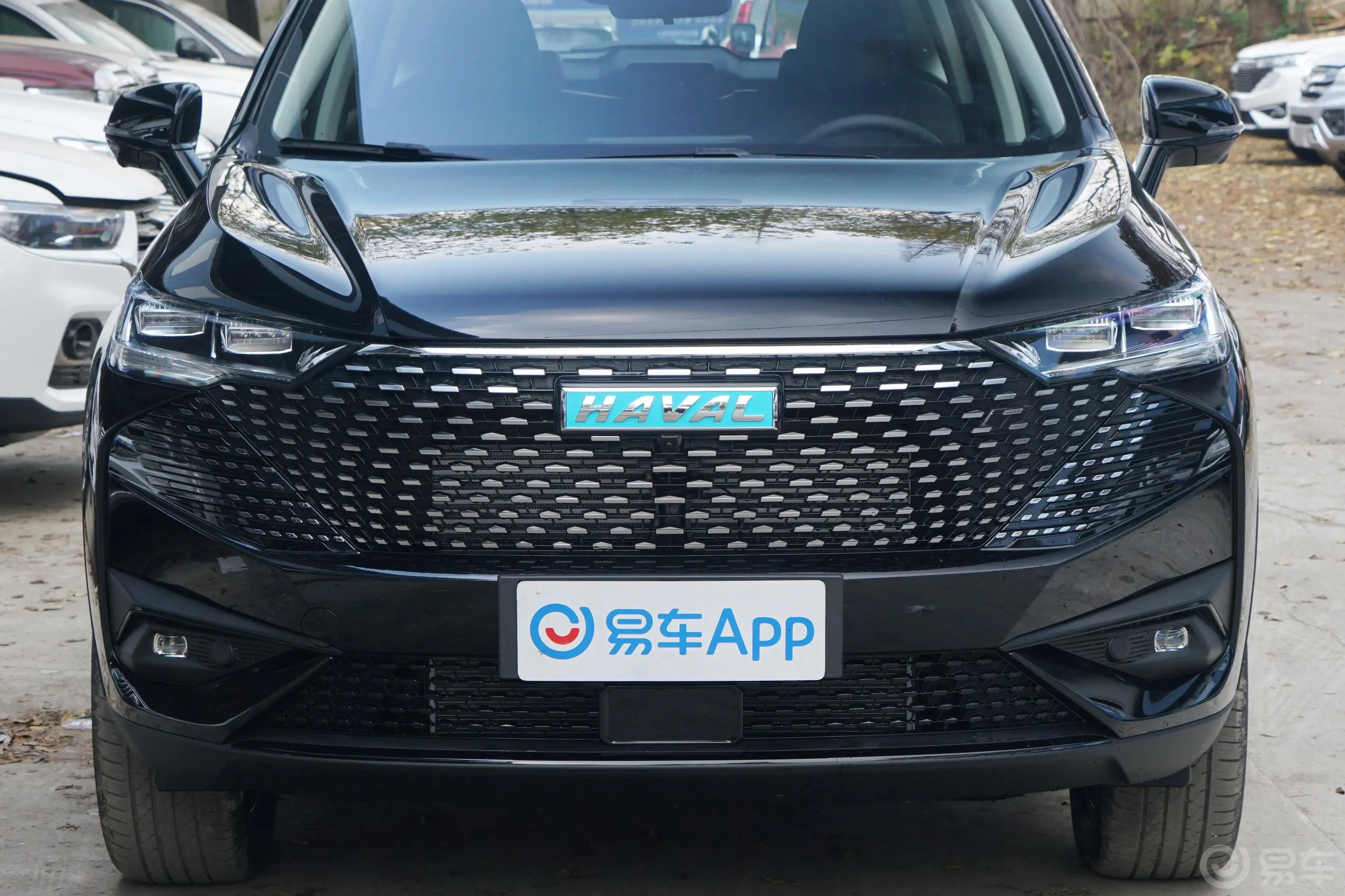 哈弗H6 PHEV1.5T 110km 畅行版外观细节