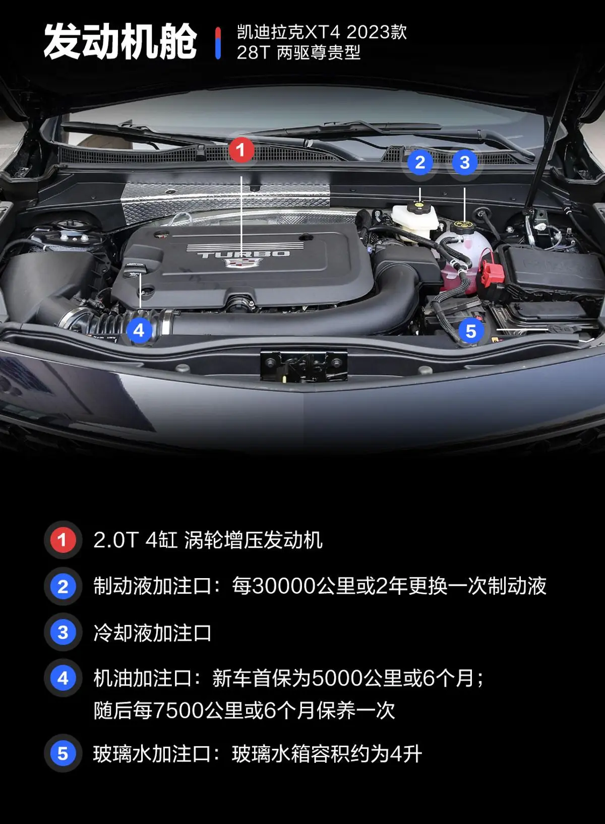 凯迪拉克XT428T 两驱尊贵型