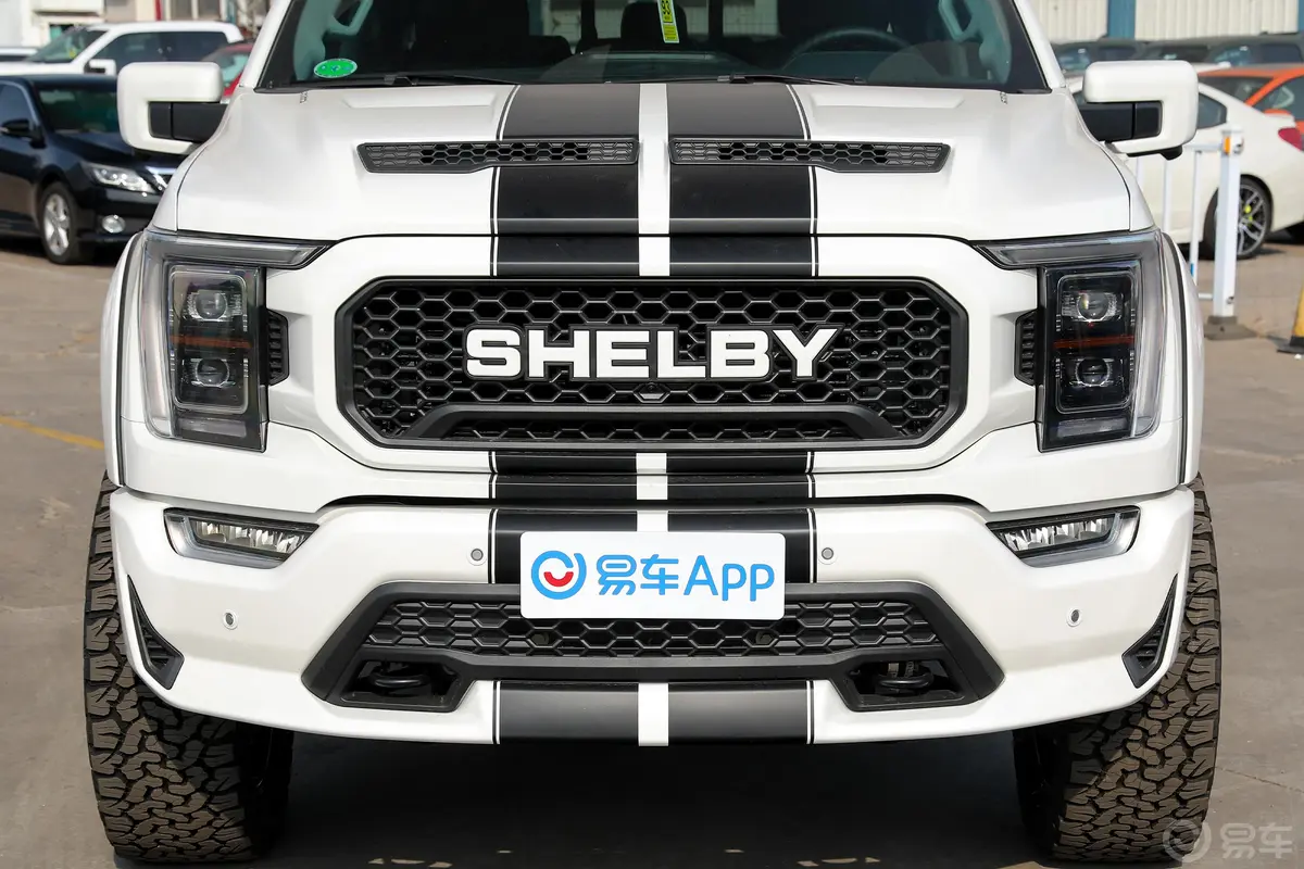 SHELBY F-1505.0S 基本版外观细节