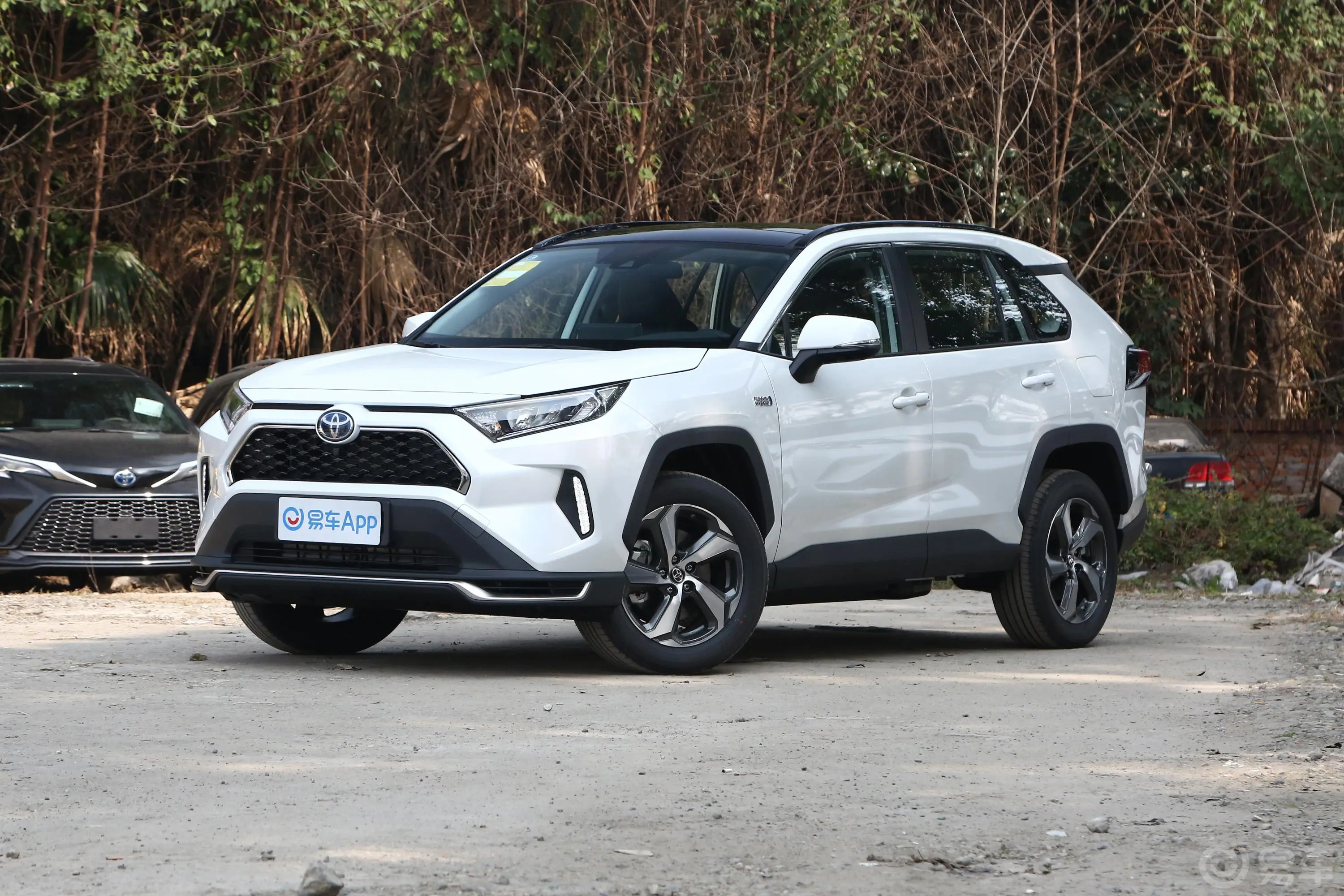 RAV4荣放 双擎E+2.5L 四驱豪华Pro侧前45度车头向左水平