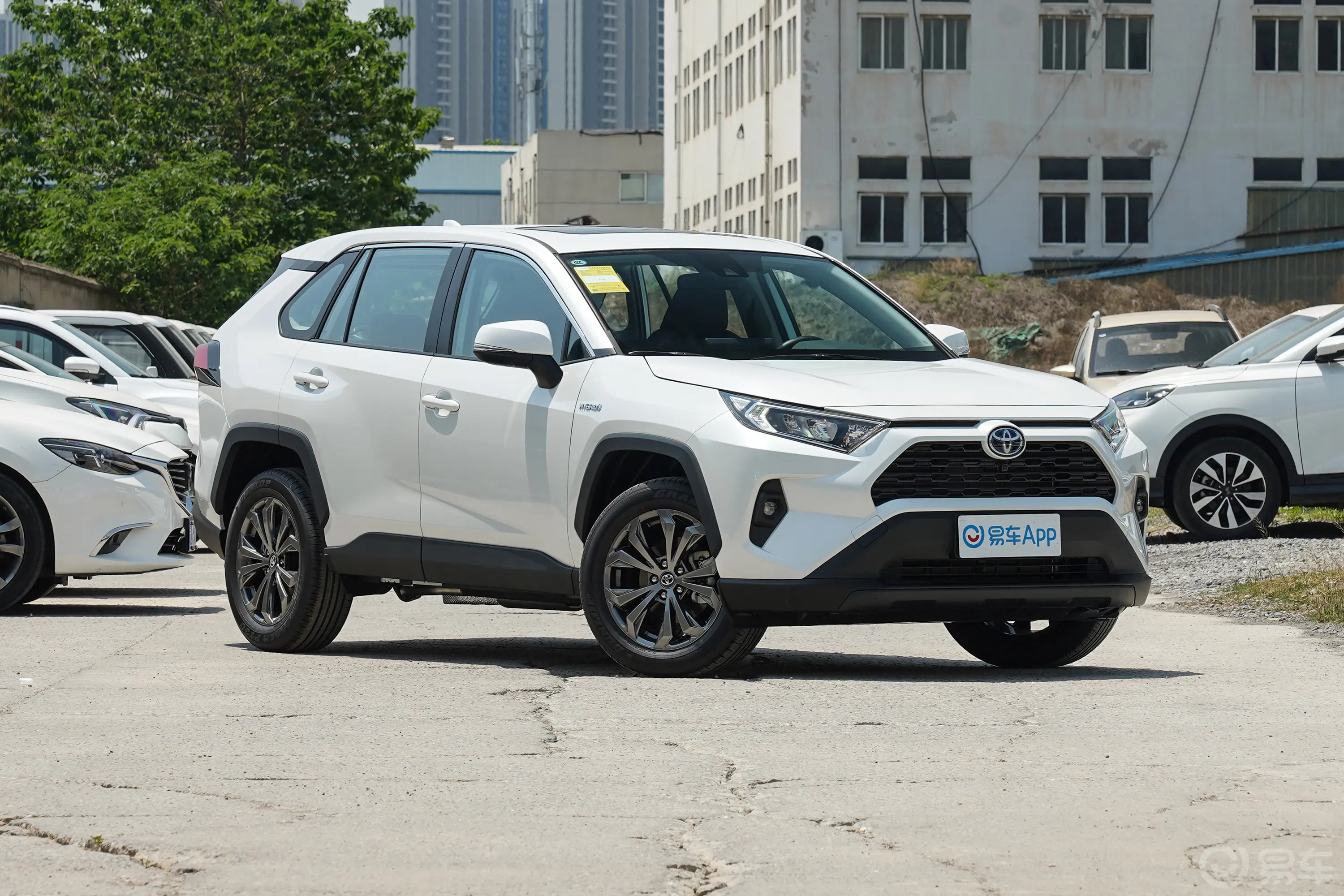 RAV4荣放双擎 2.5L 两驱精英版侧前45度车头向右水平