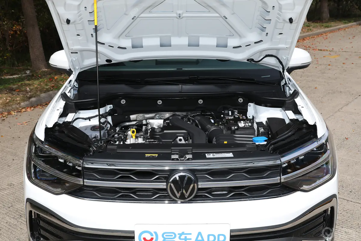 途岳300TSI 两驱满月版发动机舱整体