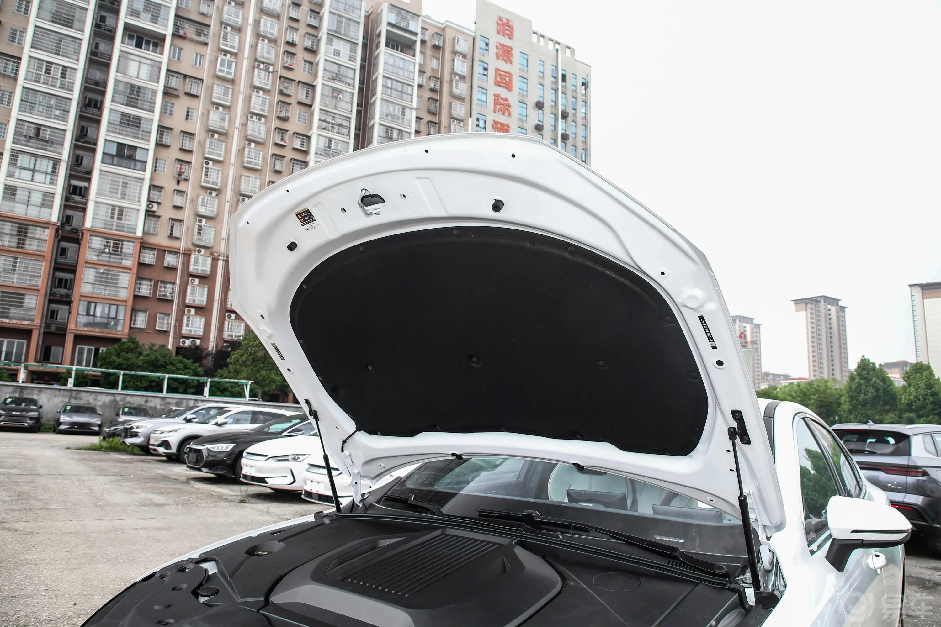 秦PLUS新能源EV 荣耀版 420km 领先型发动机舱盖内侧