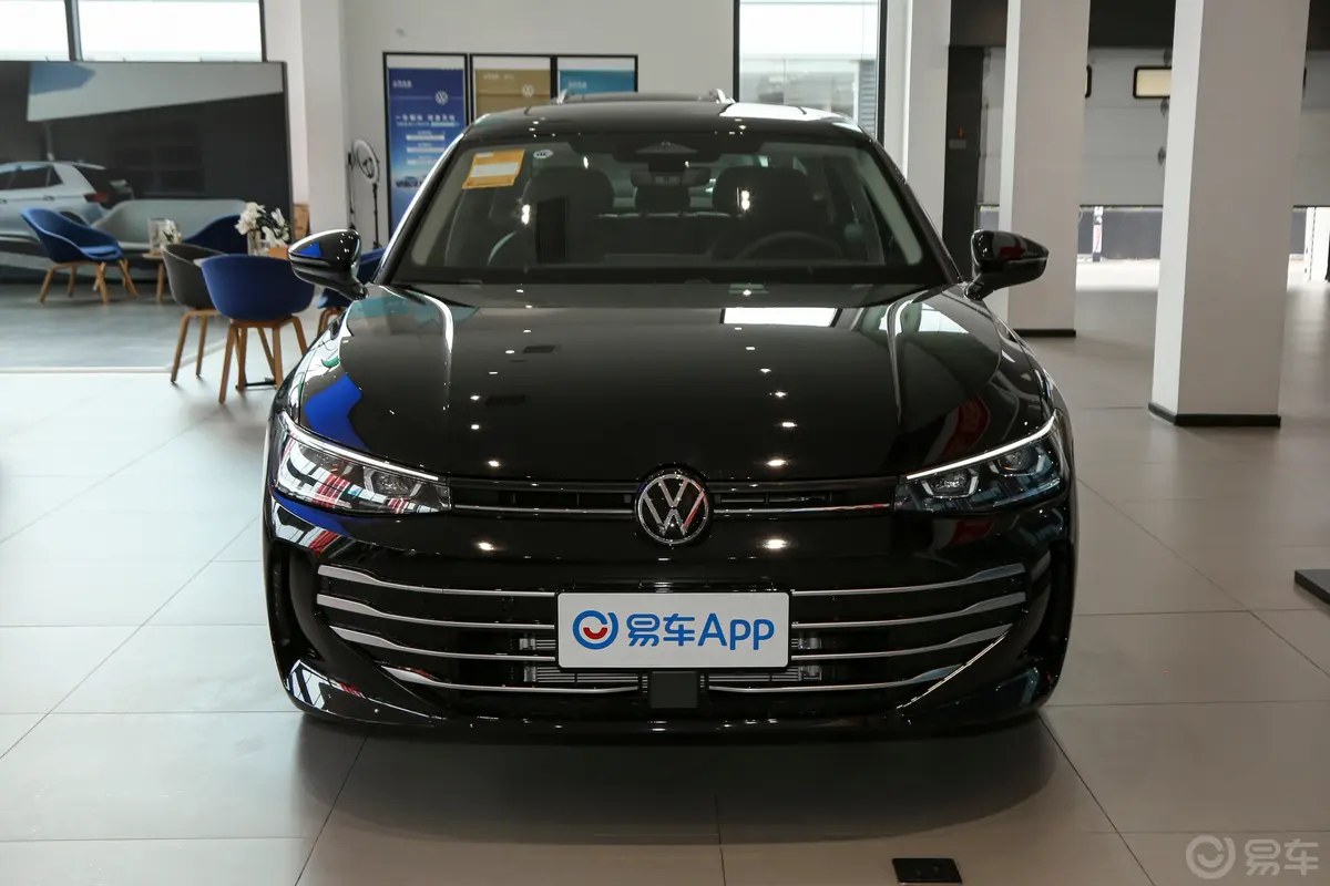 帕萨特Pro 300TSI 龙耀版外观灯组