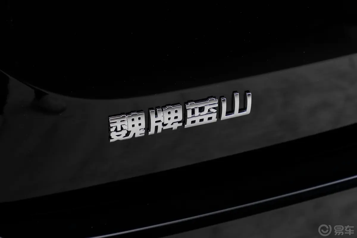 魏牌蓝山1.5T 220km 四驱智驾Ultra版外观细节